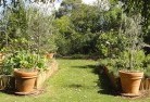 Karrathavegetable-gardens-3.jpg; ?>